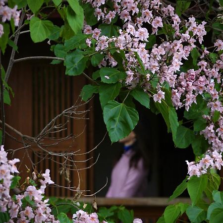 Appartamento 吾爱堂 Lijiang  Esterno foto