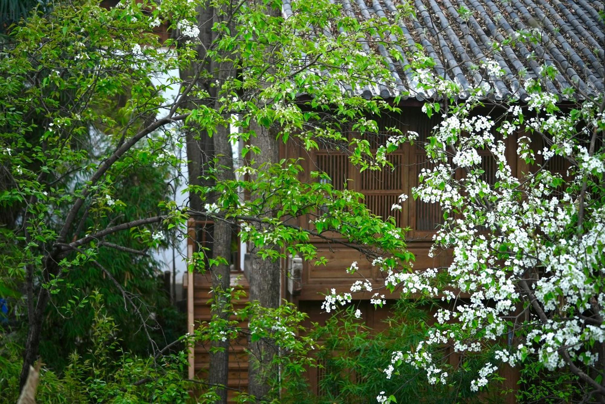 Appartamento 吾爱堂 Lijiang  Esterno foto