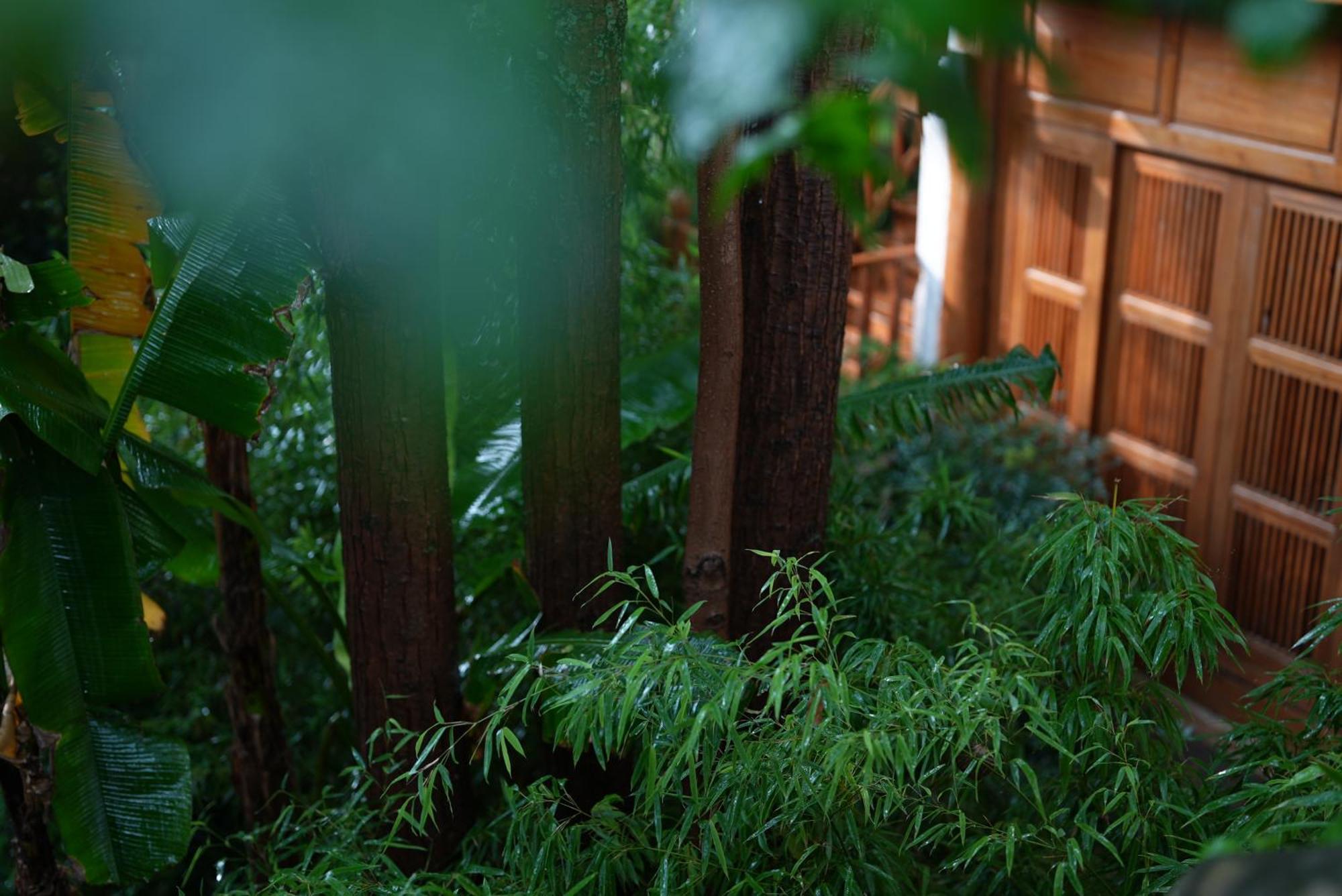 Appartamento 吾爱堂 Lijiang  Esterno foto