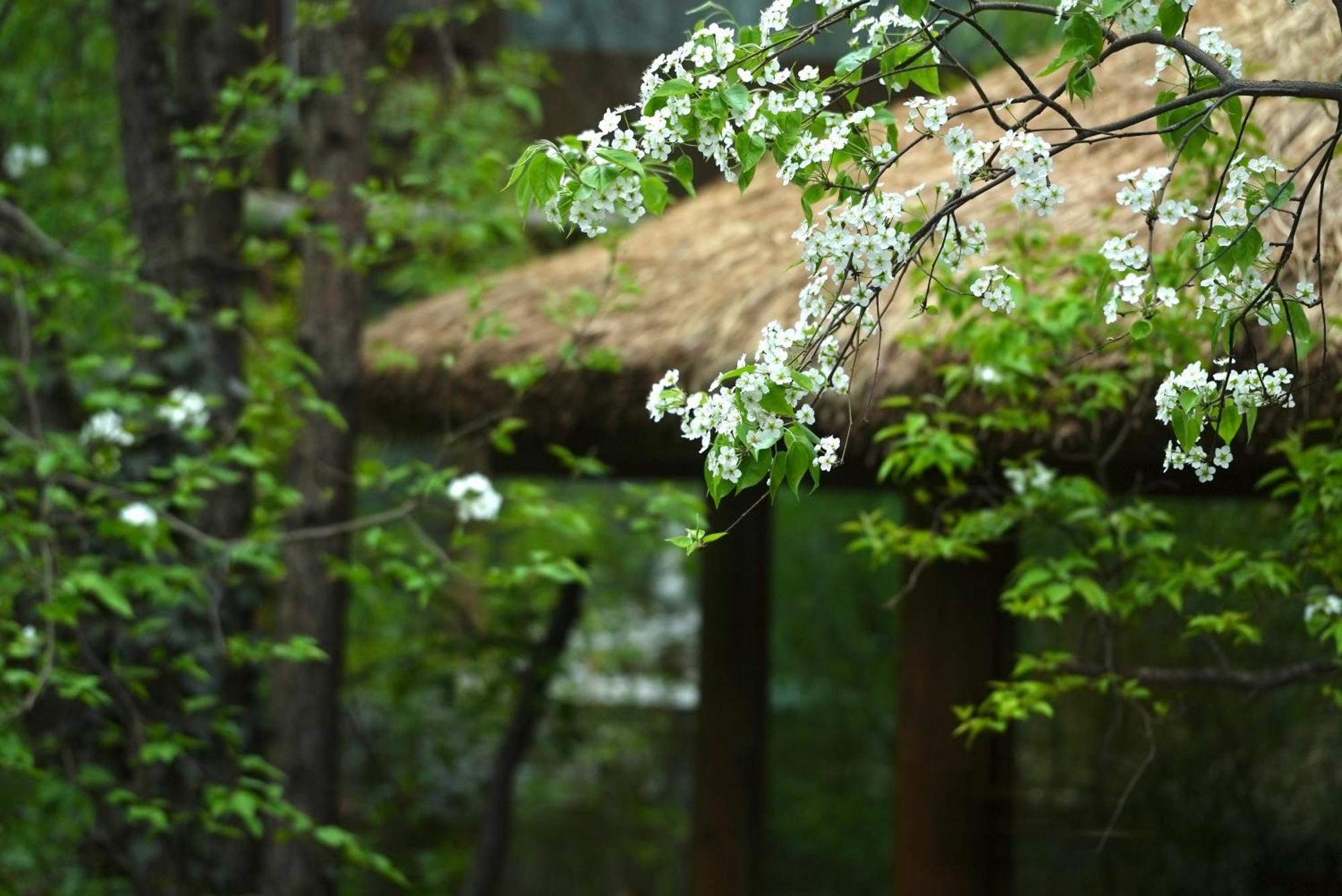 Appartamento 吾爱堂 Lijiang  Esterno foto