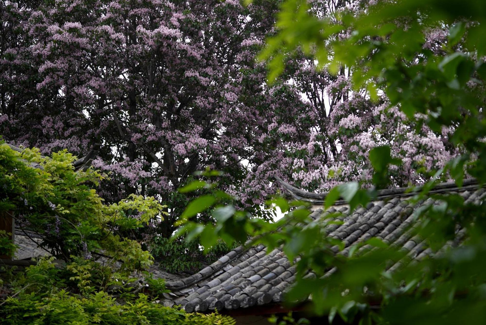Appartamento 吾爱堂 Lijiang  Esterno foto