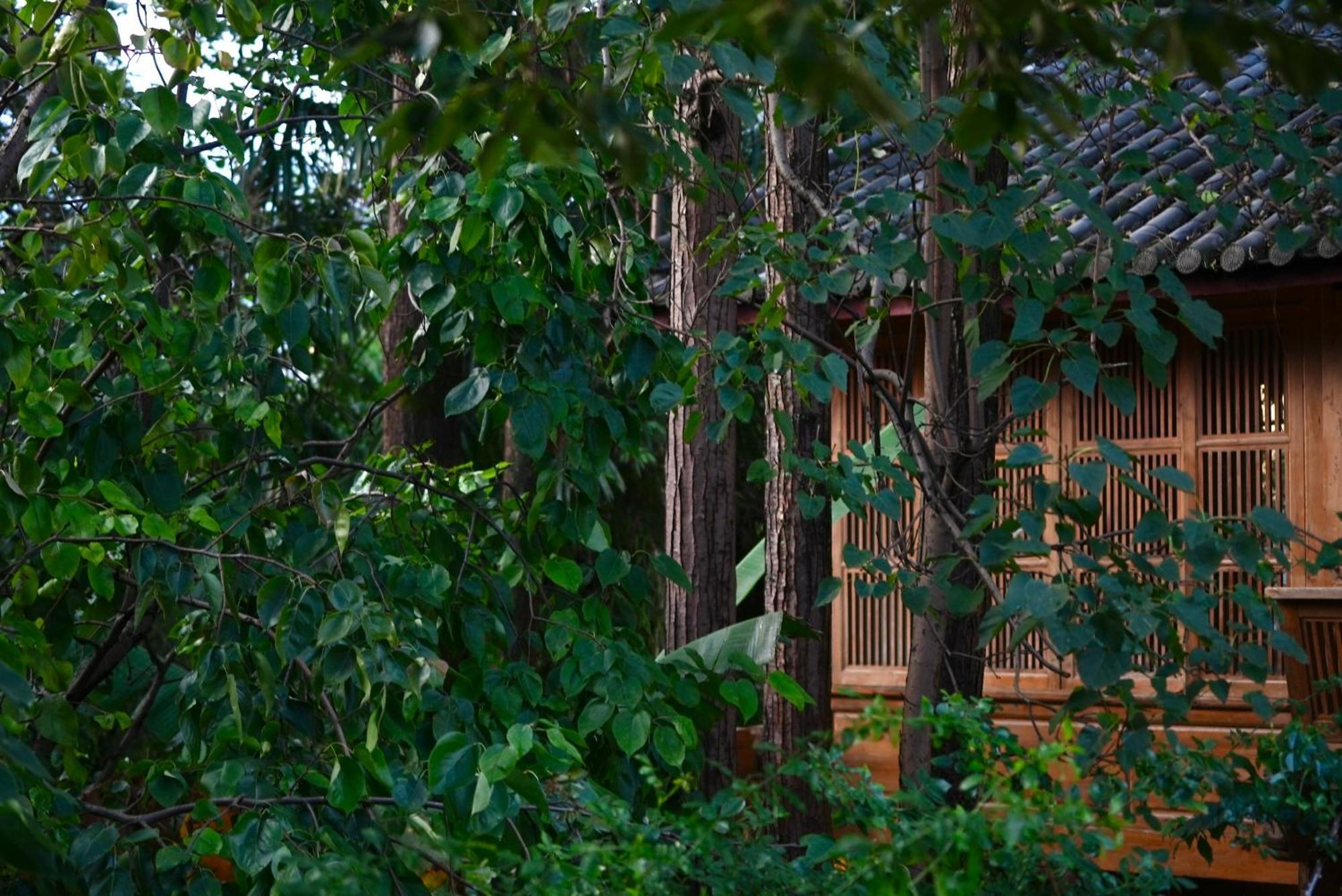 Appartamento 吾爱堂 Lijiang  Esterno foto