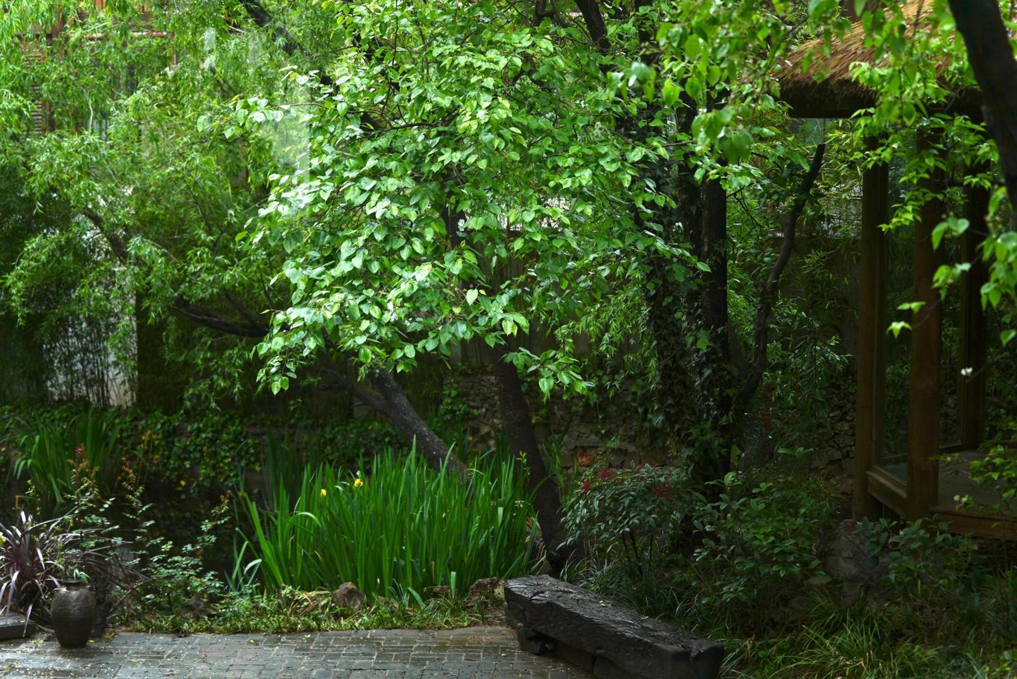 Appartamento 吾爱堂 Lijiang  Esterno foto