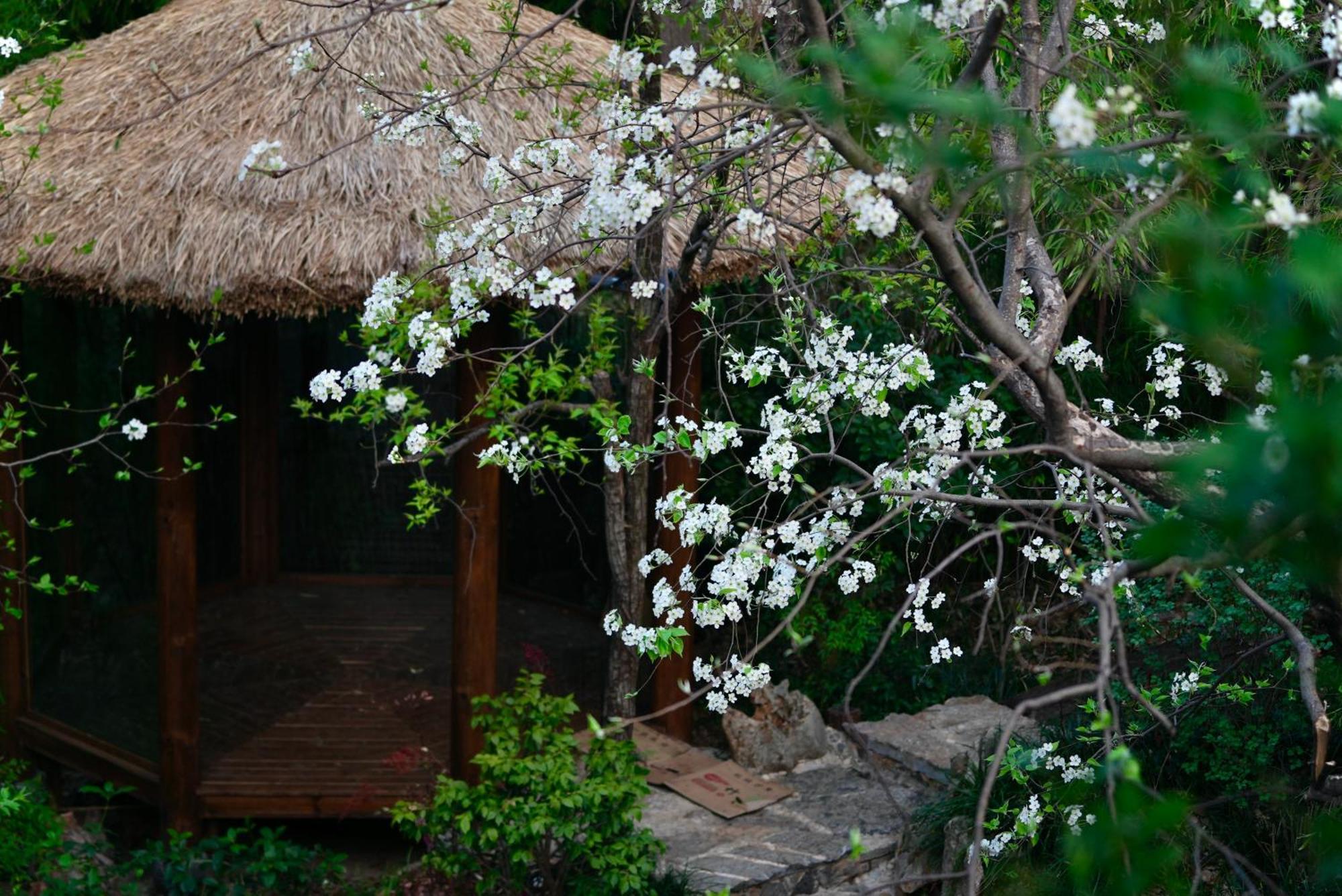 Appartamento 吾爱堂 Lijiang  Esterno foto