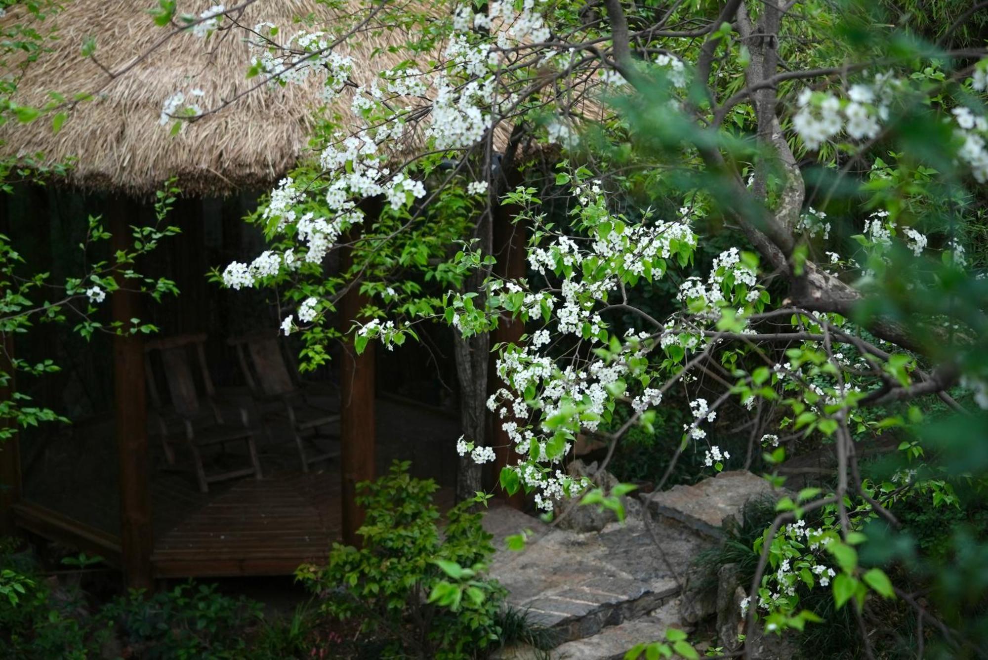 Appartamento 吾爱堂 Lijiang  Esterno foto