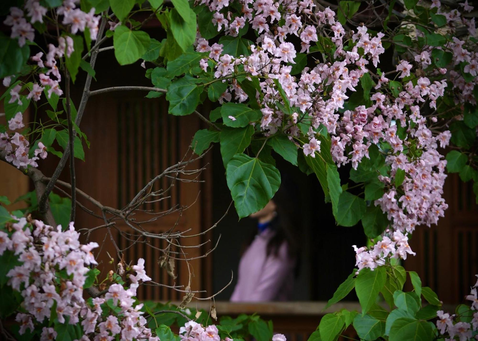Appartamento 吾爱堂 Lijiang  Esterno foto